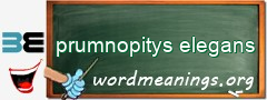 WordMeaning blackboard for prumnopitys elegans